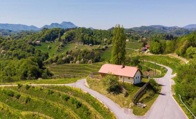 personalized wine tours in Slovenia for small groups